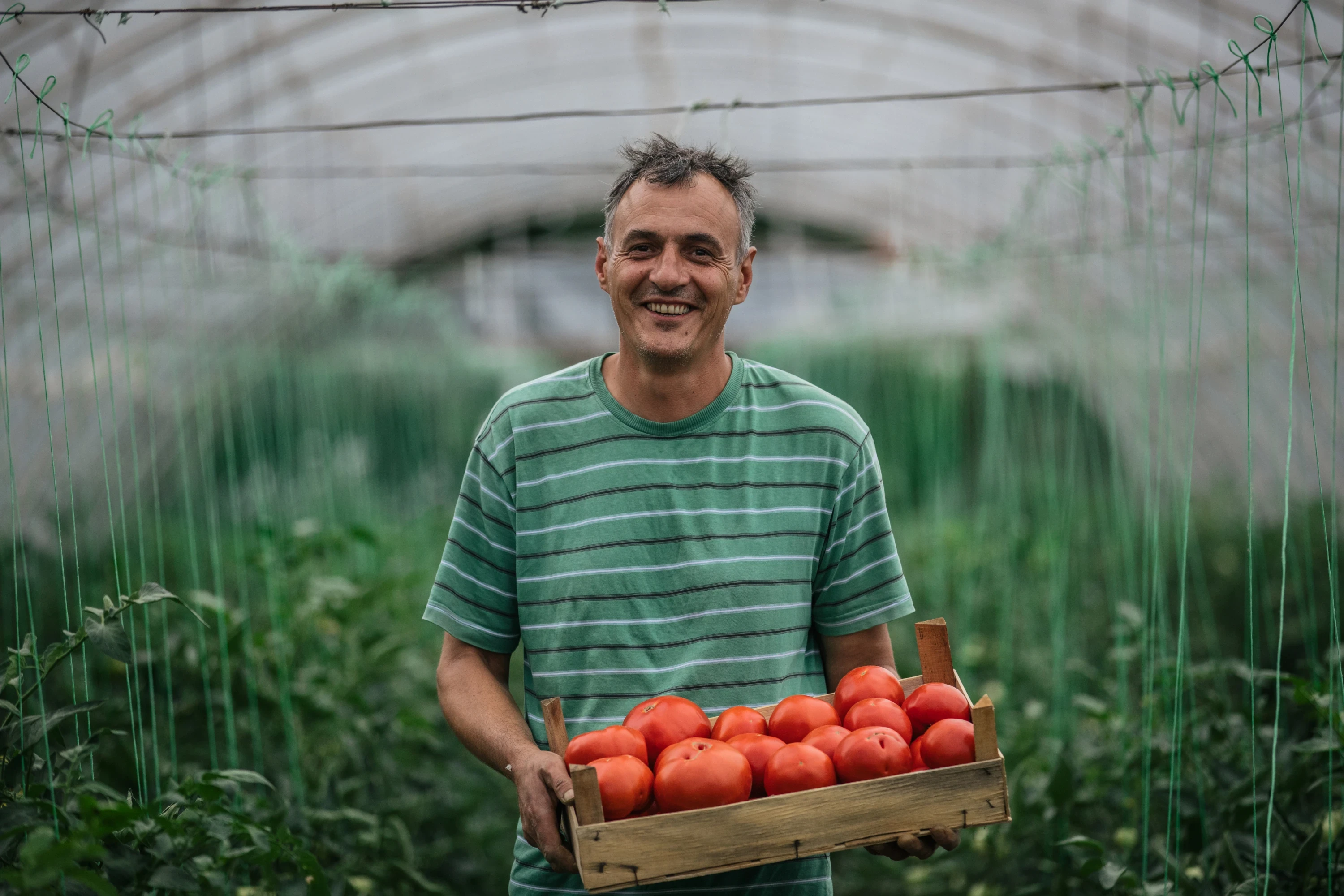Man holding a box of tomatos